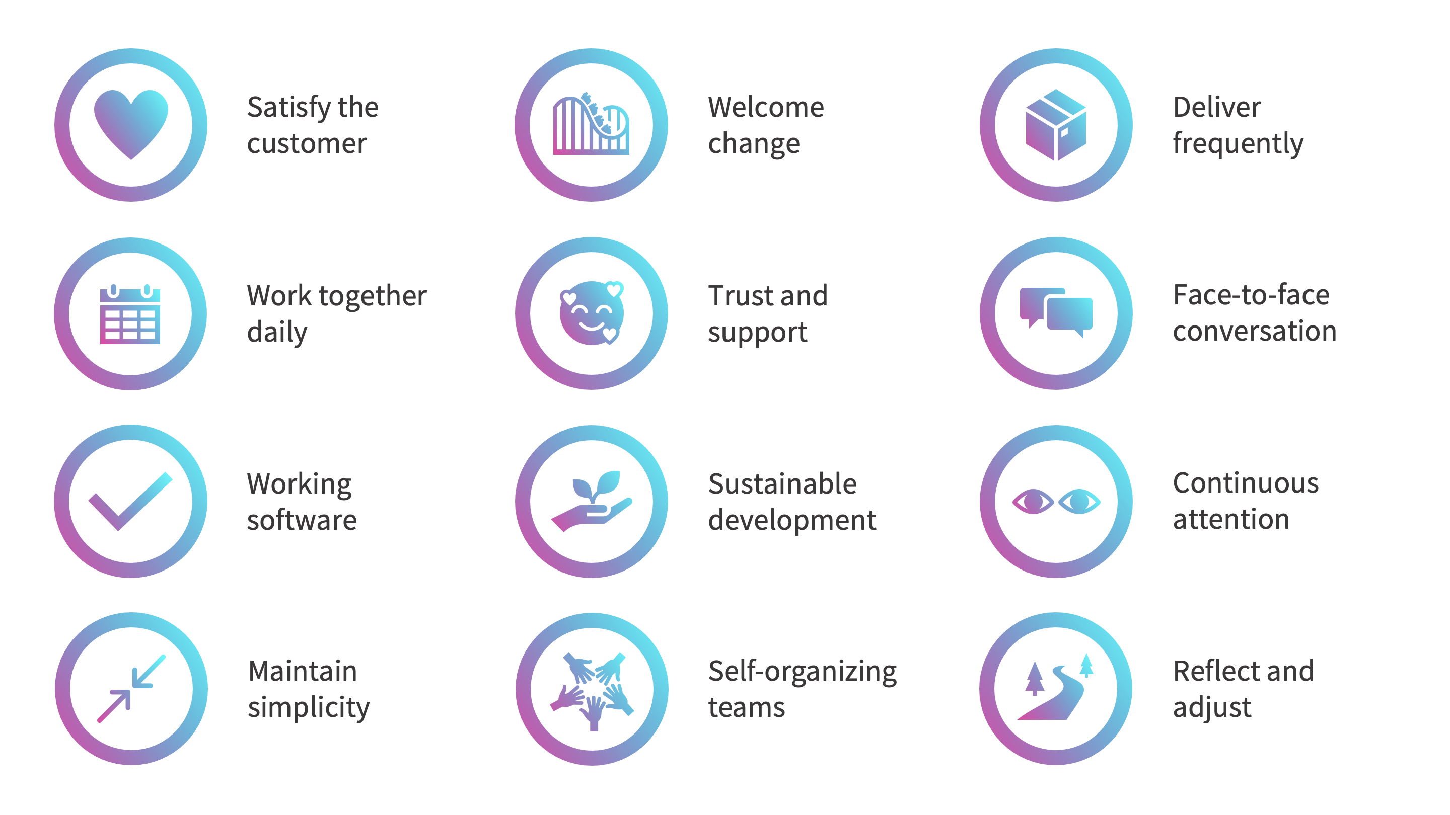 Screenshot from a PowerPoint presentation, showing the 12 Agile principles expressed using icons.